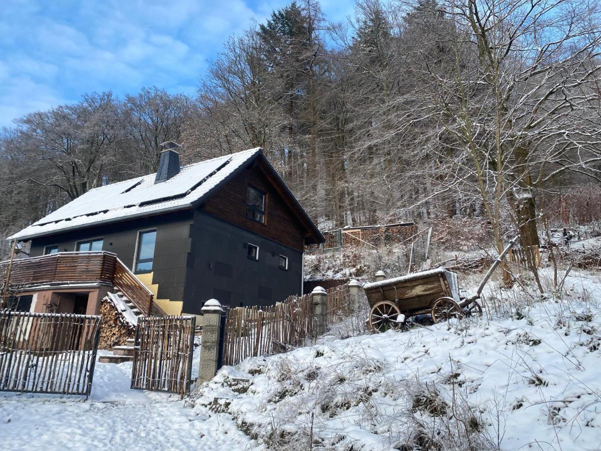 Chalet Huettenzauber Zella-Mehlis Extérieur photo